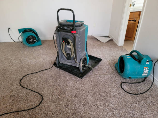 24/7 water damage repair in TN