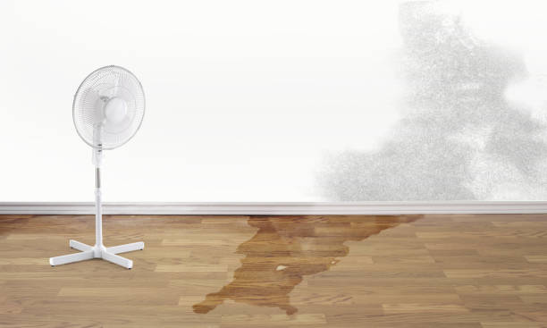 Best 24-hour water damage restoration  in Madisonville, TN