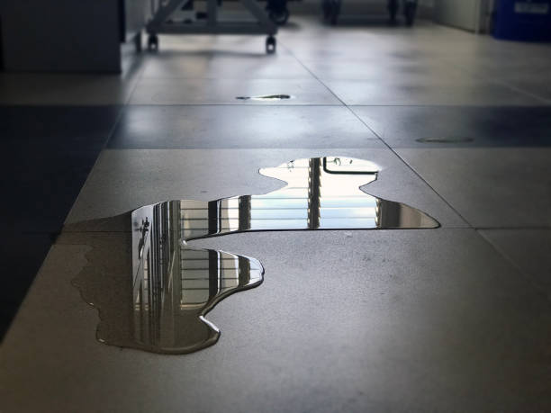 Best Commercial water damage restoration  in Madisonville, TN