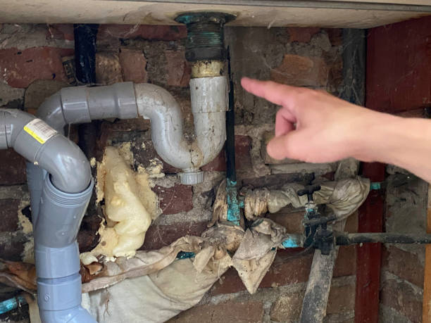 Best Water damage cleanup near me  in Madisonville, TN