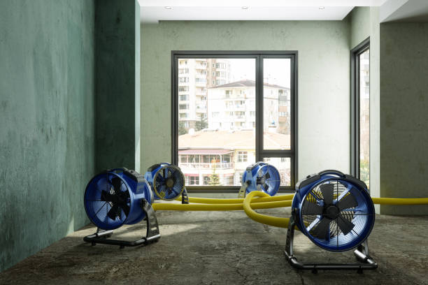 Best 24-hour water damage restoration  in Madisonville, TN